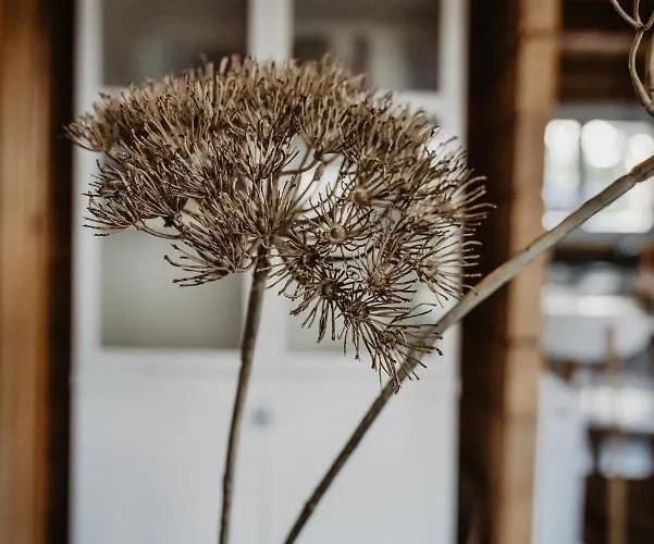 Дом отдыха Country